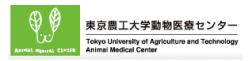 東京農工大学動物医療センター Tokyo Univercity of Agriculture and Technology Animal Medical Center